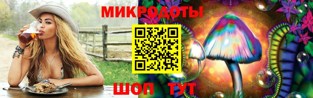 купить   Вход с VPN  Железноводск  Псилоцибиновые грибы Cubensis 