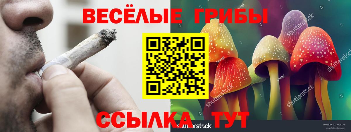 Галлюциногенные грибы мицелий Железноводск